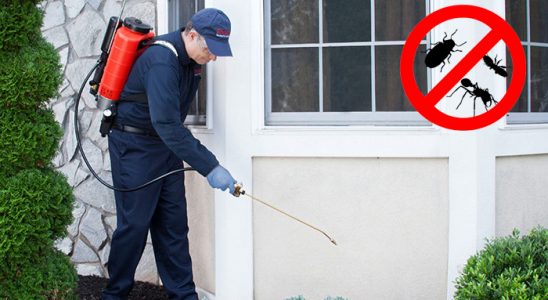 Sarıoğlan Karınca İlaçlama böcek ilaçlama ve haşere kontrolü — ilaclama-tr.com